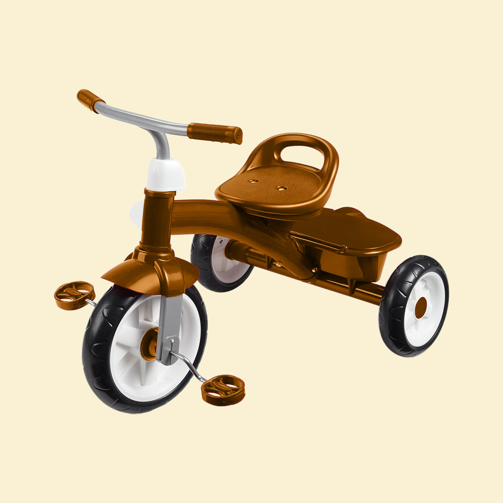 Rider Trike